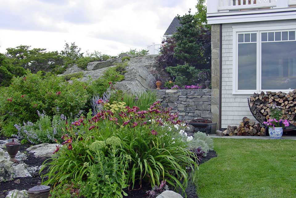 rock garden abuts lawn, transitioning to beach roses
